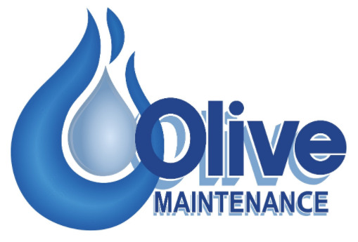 Olive Maintenance  0