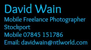 David Wain Photography  0