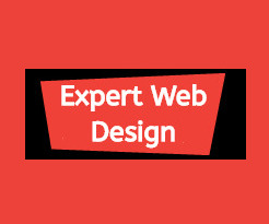 Expert Web Design  0