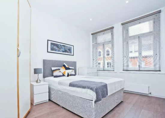 2 Double Bed 1 Bath Flat with Terrace in Maddox SW1 Mayfair  3