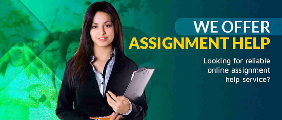 Hire Professional Writers For Assignments Projects  0