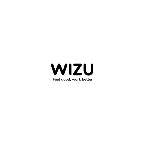 Wizu Workspace  0