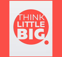 Think Little Big Marketing Ltd  0
