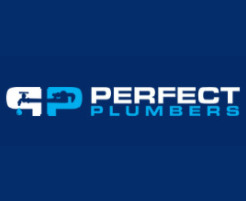 Perfect Plumbers  0