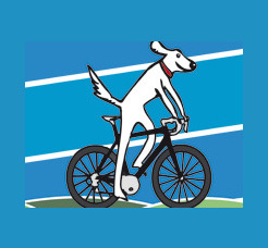 Salt Dog Cycling  0