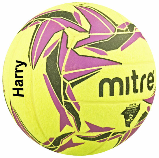 Get Online Printed Volleyballs at an affordable price  5