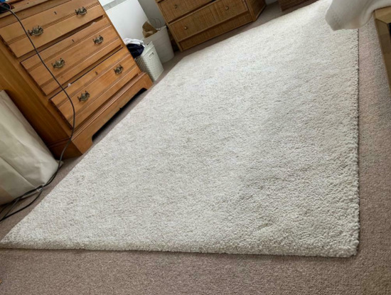 Rug Carpet Beige / White  1