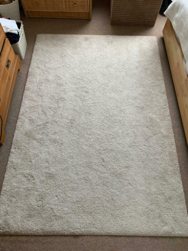 Rug Carpet Beige / White  4