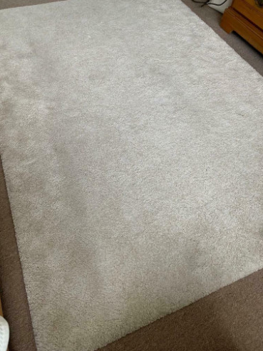Rug Carpet Beige / White  3