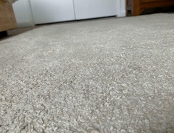 Rug Carpet Beige / White thumb 3