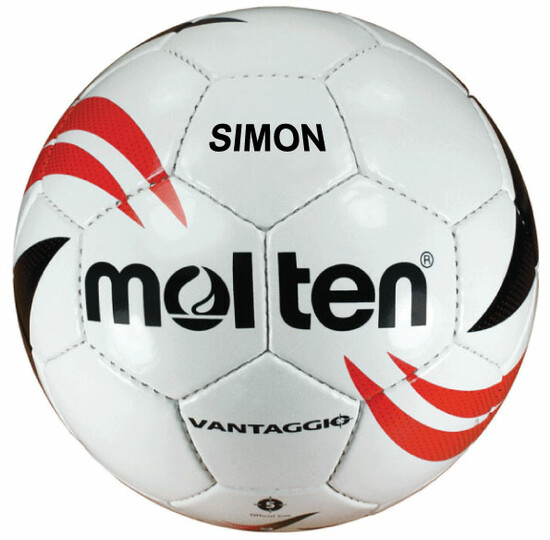 Printed Volleyballs for your Business Marketing  1