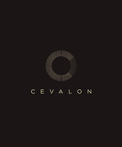 Cevalon Clients’ Lounge  0