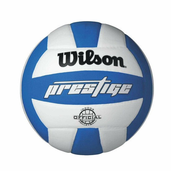 Printed Volleyballs | Personalized Volleyballs  1