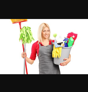 Cleaning Job Part Time Richmond Areas: Private Houses Domestic Cleaner Work  0