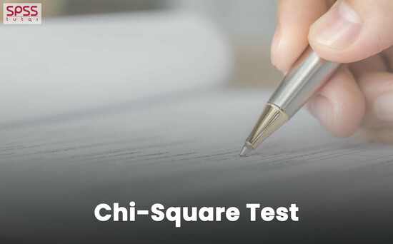 Chi-Square Test of Independence | SPSS-Tutor  0