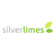Silver Limes (Intelligent Networks Limited)  0