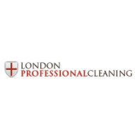 Professional Cleaning London  0