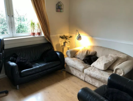 Sunny Flat Opposite the Royal Infirmary for Rent  5