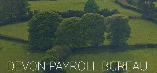 Devon Payroll Bureau  0