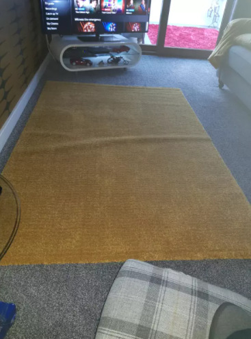 Large Rug. Carpet  0