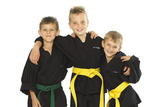 Flitwick Children's Karate Academy  0