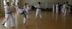 York Elite Karate thumb 3