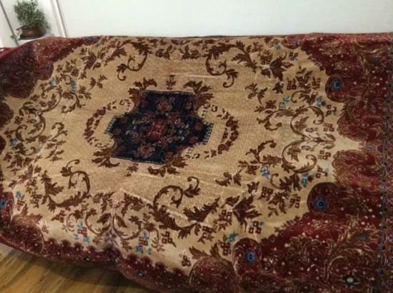 Carpet Rug ( 7x5 ) Like New  0