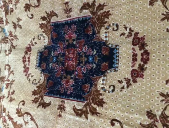 Carpet Rug ( 7x5 ) Like New  2