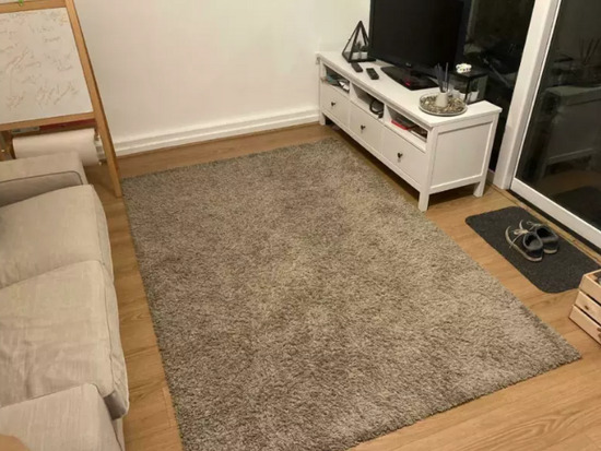 Light Brown Rug / Carpet  0