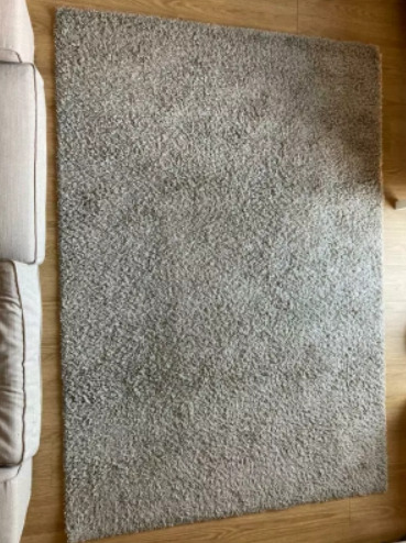 Light Brown Rug / Carpet  2