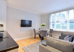 New One Bedroom Flat in Hydepark / Regents Street thumb 4