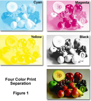 What You Need to Know About Color Separations in Printing?  0