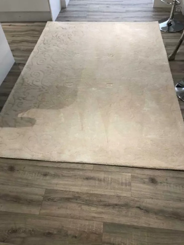 Cream Carpet Rug  1