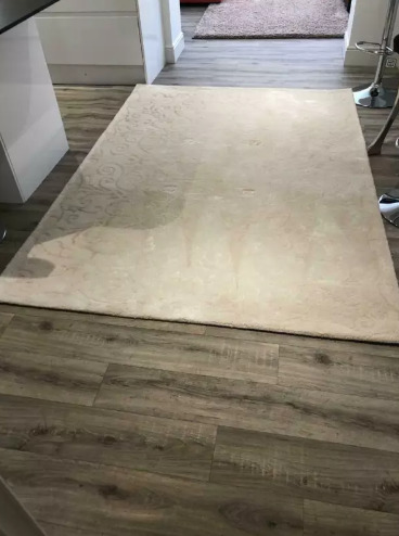 Cream Carpet Rug  0