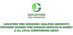 Guildford Tree Surgeons