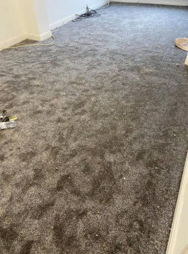 Carpet and Flooring  4
