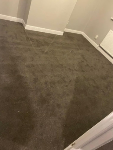 Carpet and Flooring  5