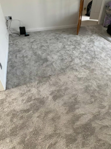 Carpet and Flooring  3