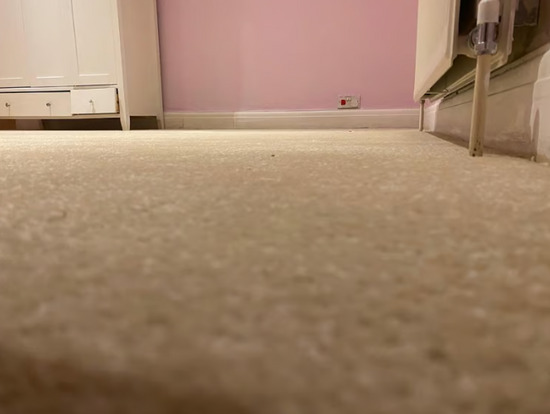 Carpet and Flooring  7