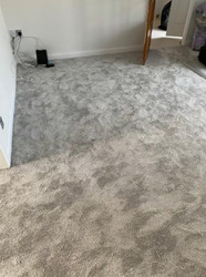 Carpet and Flooring thumb 4