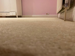 Carpet and Flooring thumb 8