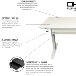 Transform Your Workspace with the OHX Furniture Electric Standing Desk
