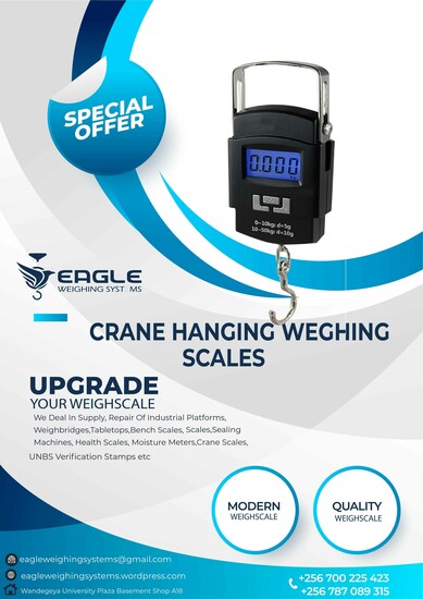 Digital Crane Portable Electronic Weighing Scales in Kampala  2