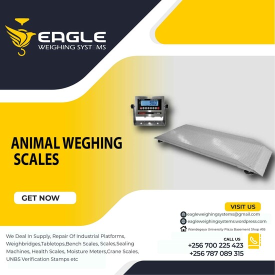 Heavy duty animal, cows, livestock weighing scales supplier of Uganda  0