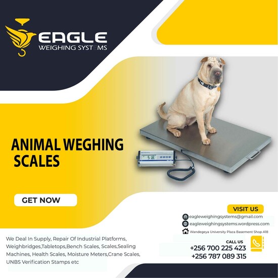 Electronic Animal Weighing Scales Company in Kampala Uganda  0