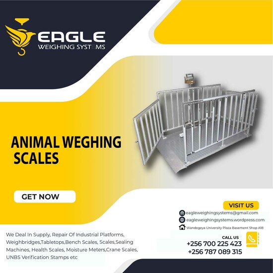 Large platform Animal  electronic dog pet scale, animal scale, postal scale Kampala  0