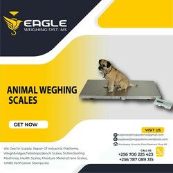 Heavy Duty Platform Balance Animal weighing scales in Kampala Uganda