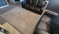 Dunelm Large Boston Wool Border Carpet/Rug [200x290cm] - (CASH + COLLECTION ONLY!) thumb 1