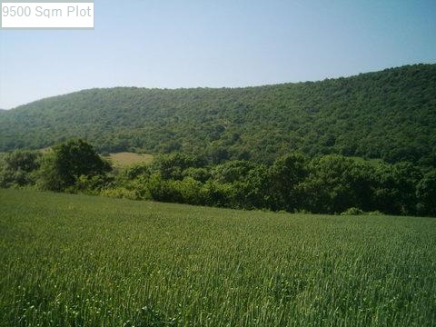 Investment Plot By Owner Near Sunny Beach Bulgaria  0