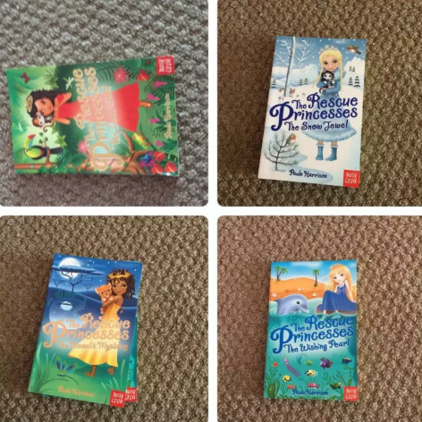 Rescue Princess Book Set  1